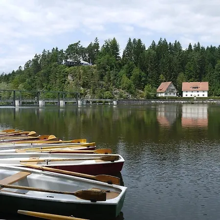 Nr 5c Plus, Hagbuegerl, Bayr Wald