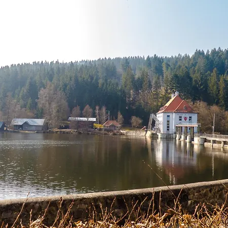 Nr 5c Plus, Hagbuegerl, Bayr Wald * Waldmünchen
