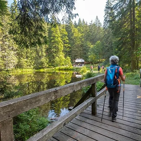Nr 5c Plus, Hagbuegerl, Bayr Wald *