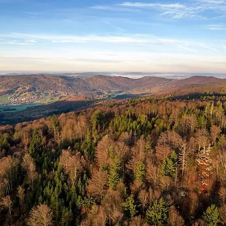 Tatil Evi Nr 5c Plus, Hagbuegerl, Bayr Wald *